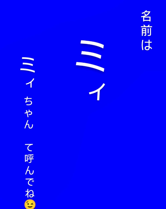画像380