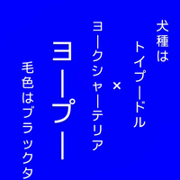 画像383