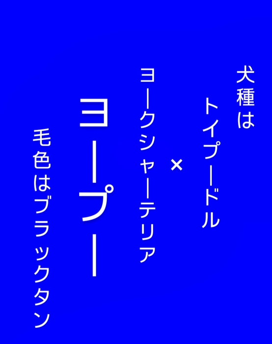 画像383