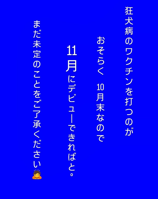 画像385