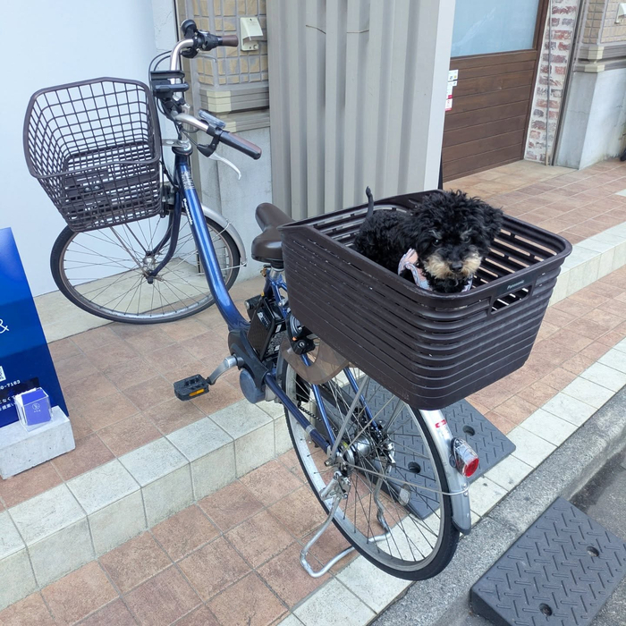 画像425