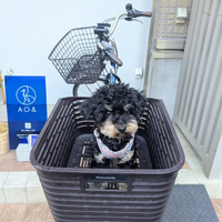 画像426